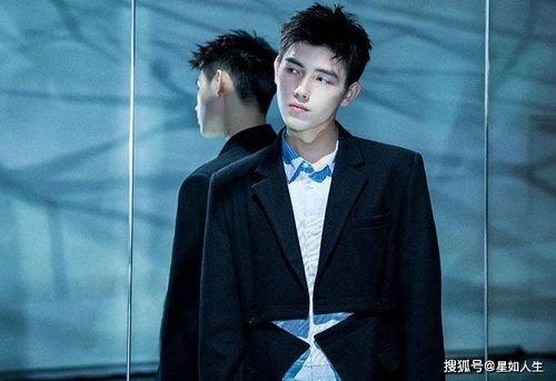 娱乐圈吃瓜元素表陈飞宇